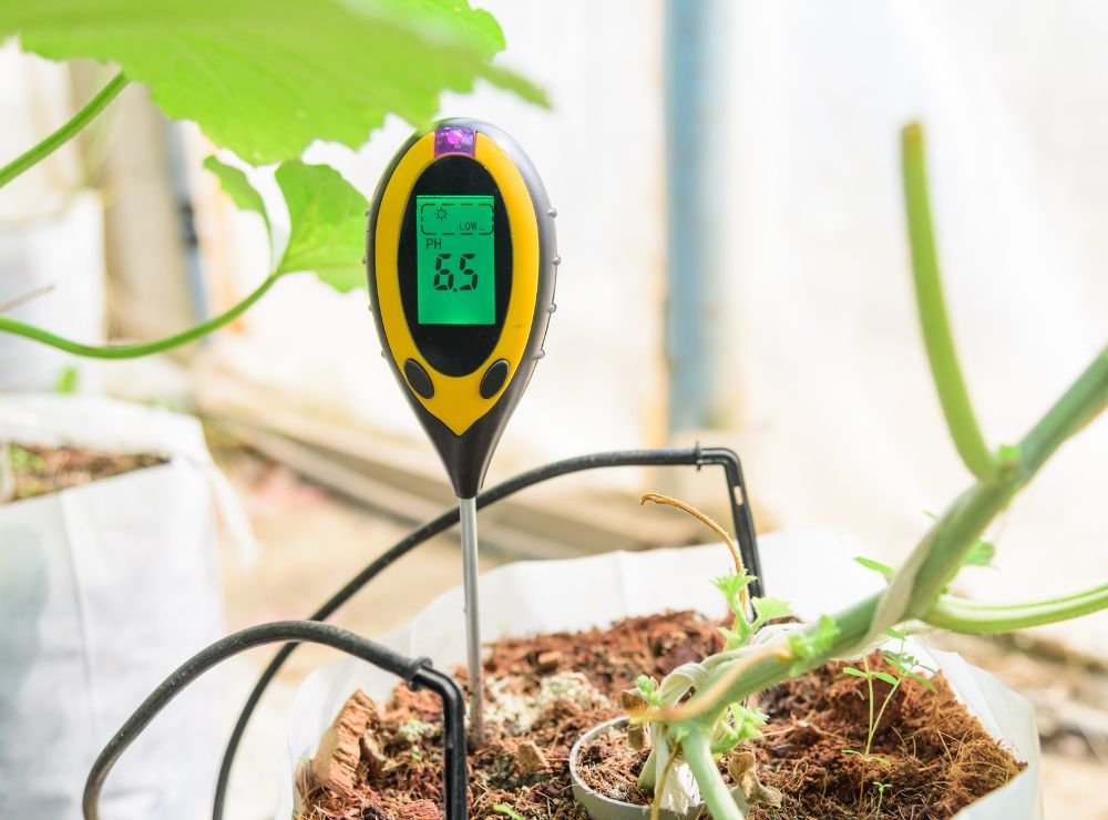 single-img-twentysix