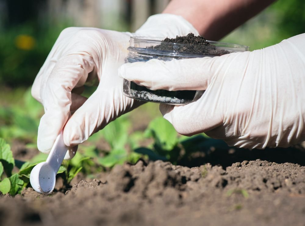 single-img-twentyfour