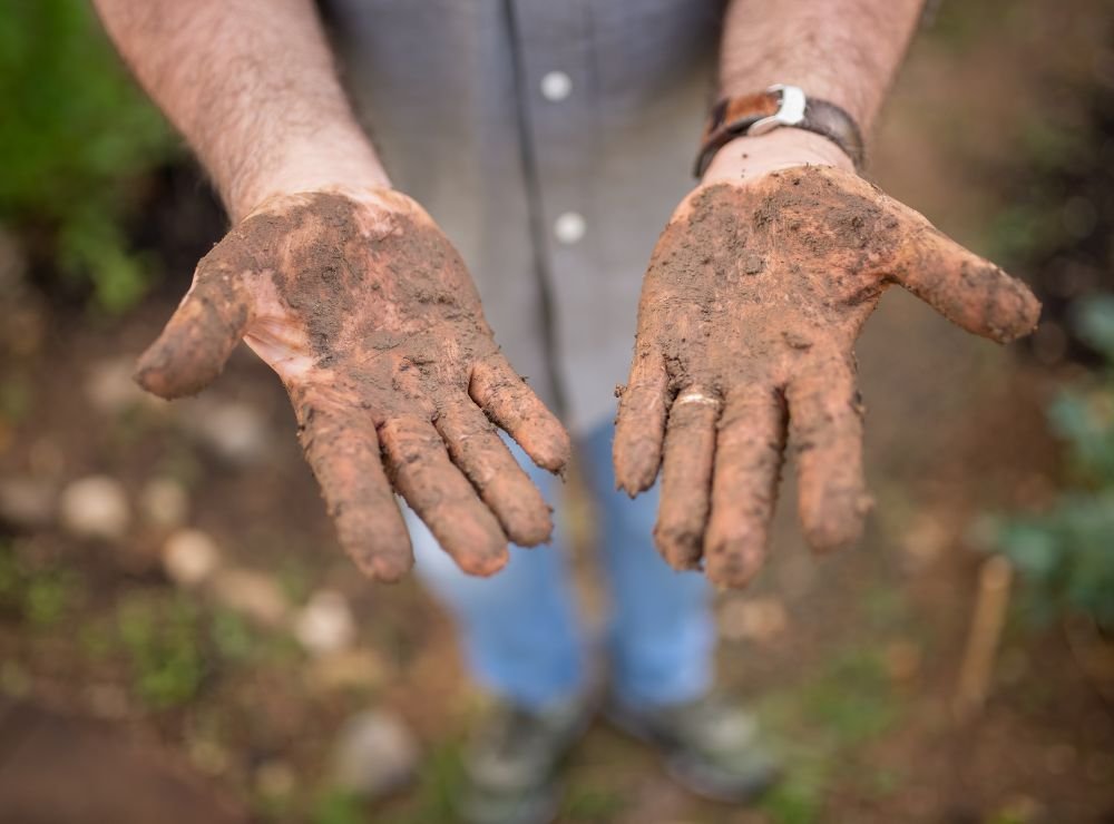 single-img-twentyfive