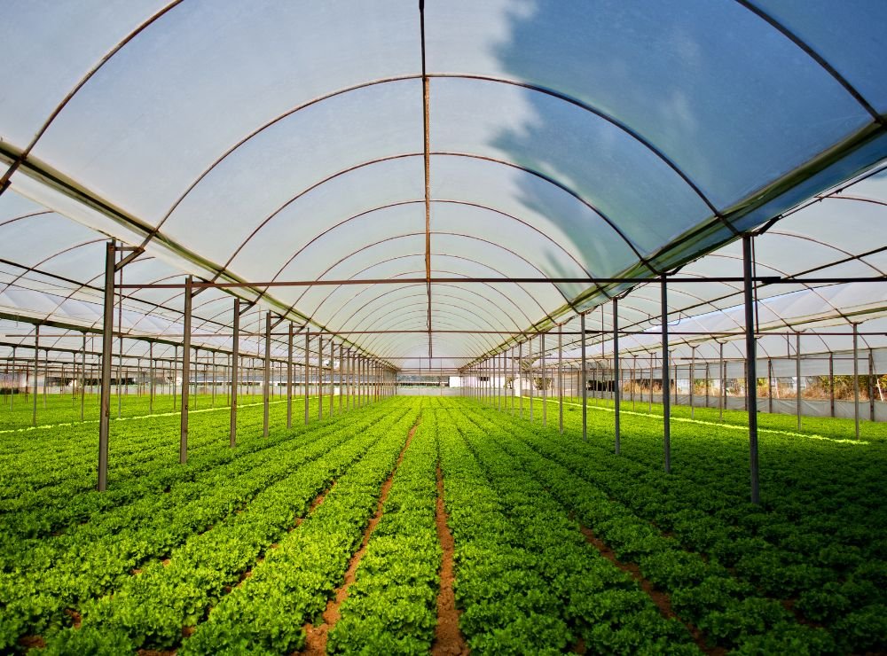 single-img-twentytwo