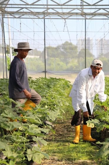 single-img-twentyone